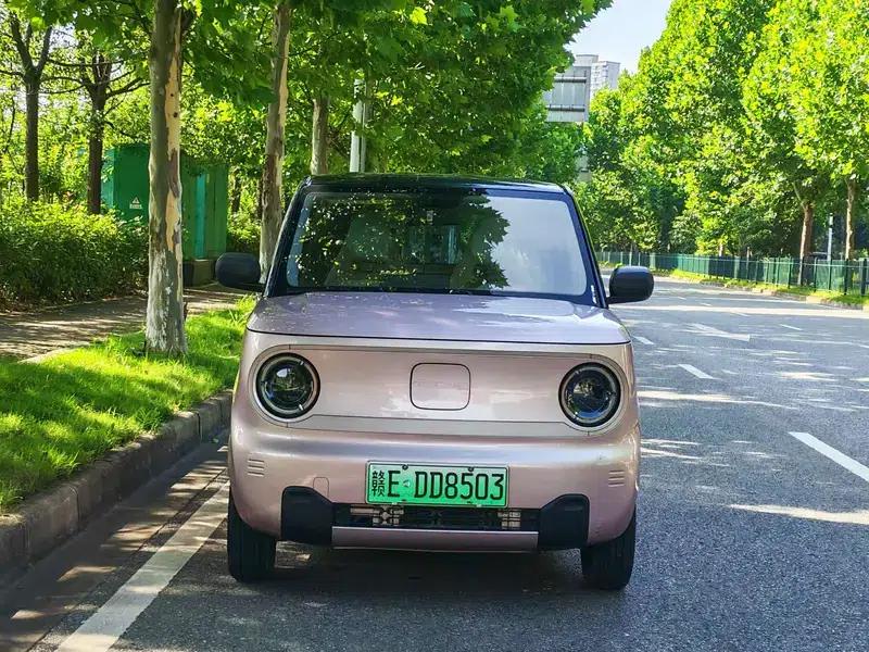 Panda 2023 Model 200km Panda Mini Endurance Bear — миниатюра 2