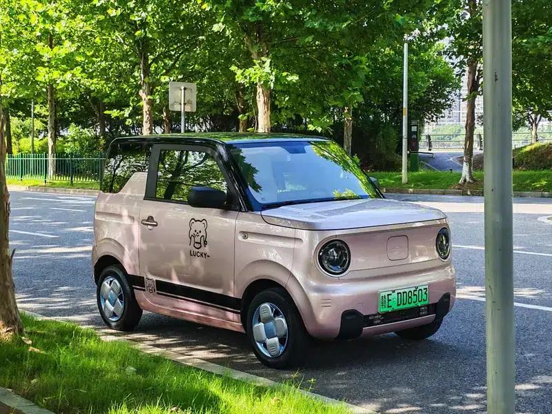 Panda 2023 Model 200km Panda Mini Endurance Bear — миниатюра 3