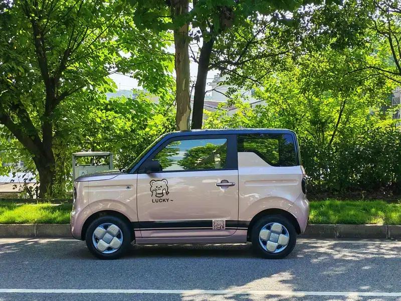 Panda 2023 Model 200km Panda Mini Endurance Bear — миниатюра 4