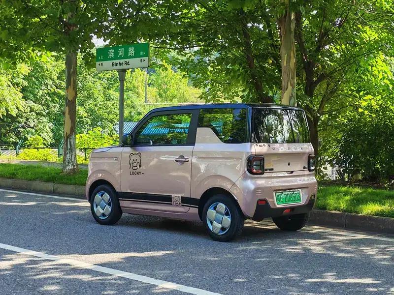 Panda 2023 Model 200km Panda Mini Endurance Bear — миниатюра 5