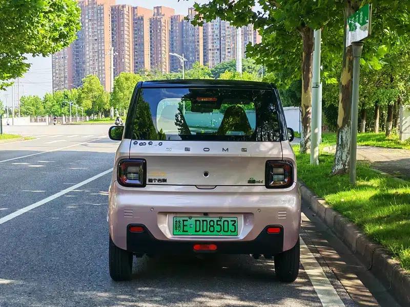 Panda 2023 Model 200km Panda Mini Endurance Bear — миниатюра 6