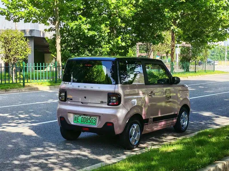 Panda 2023 Model 200km Panda Mini Endurance Bear — миниатюра 7