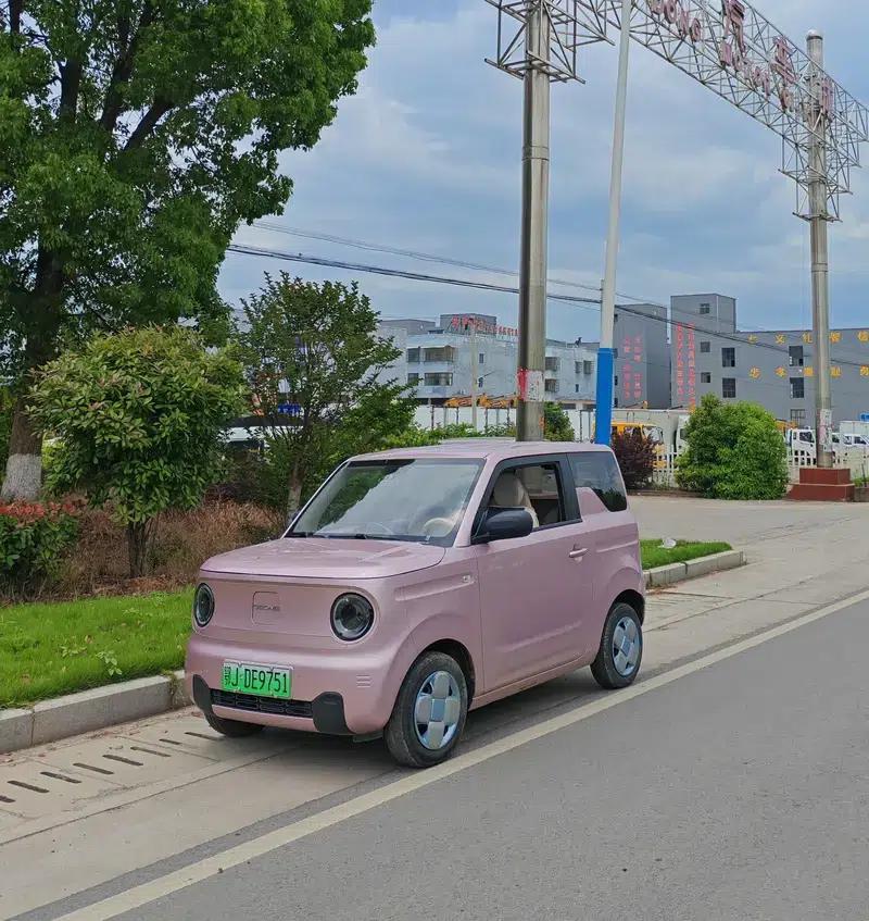 Panda 2024 Model 200km Panda Gokart — миниатюра 1