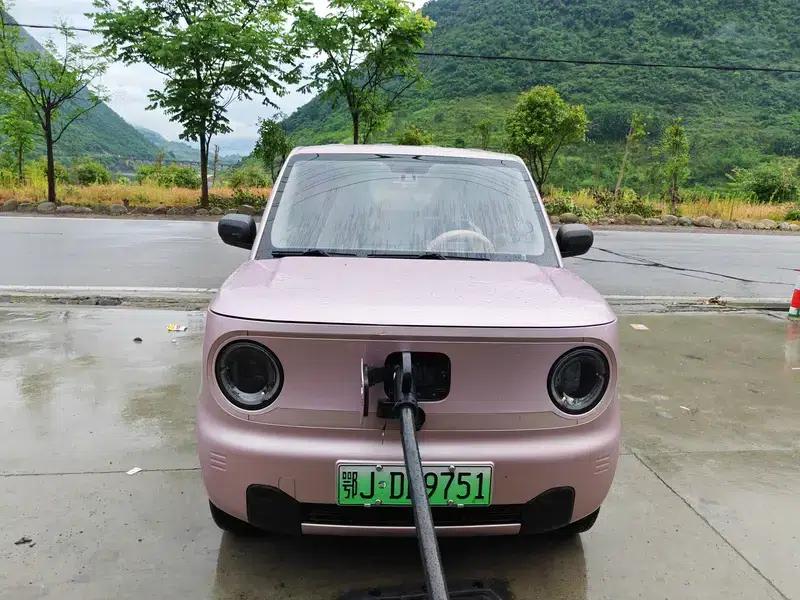 Panda 2024 Model 200km Panda Gokart — миниатюра 2