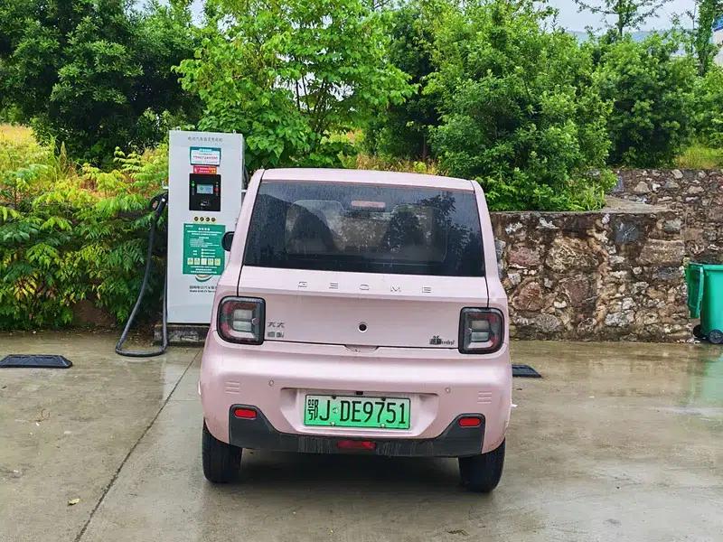 Panda 2024 Model 200km Panda Gokart — миниатюра 5