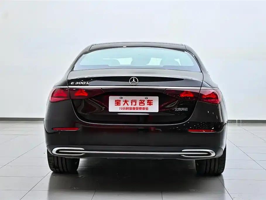 2024 Mercedes-Benz E-Class E 300 L Luxury — миниатюра 9