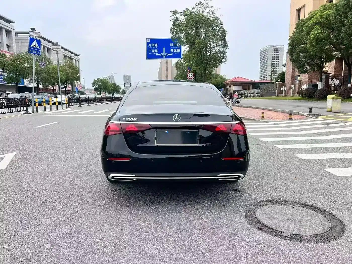 2025 Mercedes-Benz E-Class E 300 L Luxury — миниатюра 8