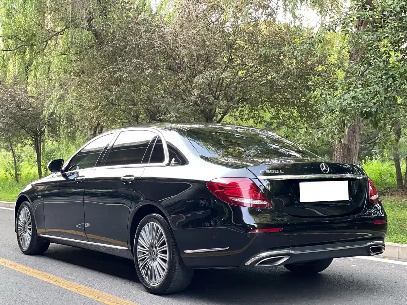Mercedes-Benz E-Class 2020 Facelift E 300 L Fashion Model — миниатюра 6
