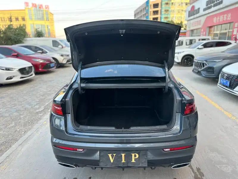 Xingrui 2023 2.0T Luxury Edition — миниатюра 19