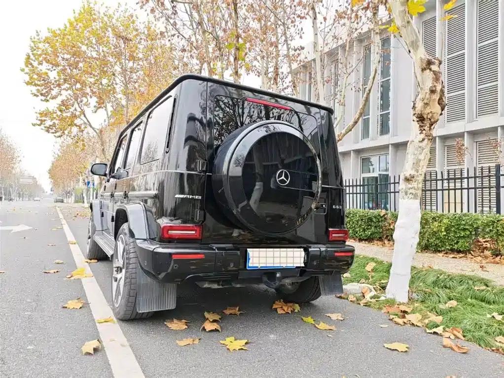 2022 Mercedes-Benz G-Class G 350 d — миниатюра 4