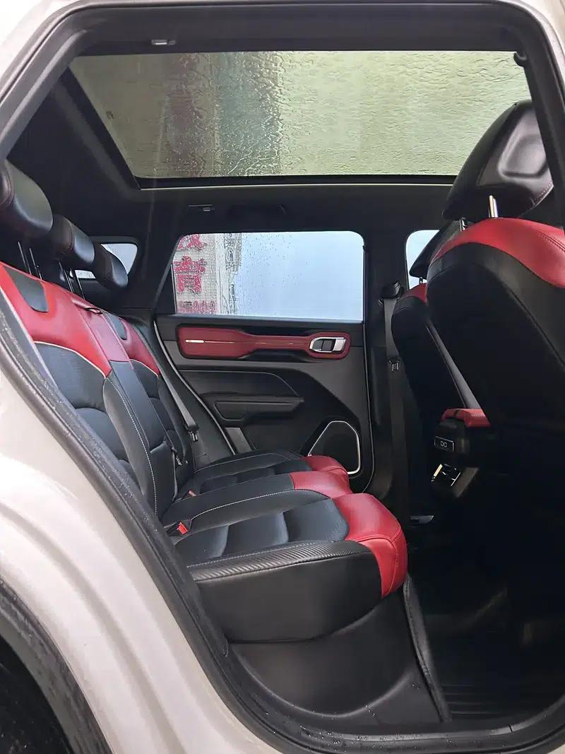Geely ICON 2021 1.5TD Spring Limited Edition (Lucky Koi Edition) — миниатюра 7