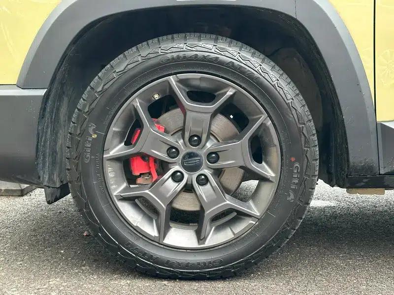 2025 Cowboy 1.5TD Wild Edition — миниатюра 12