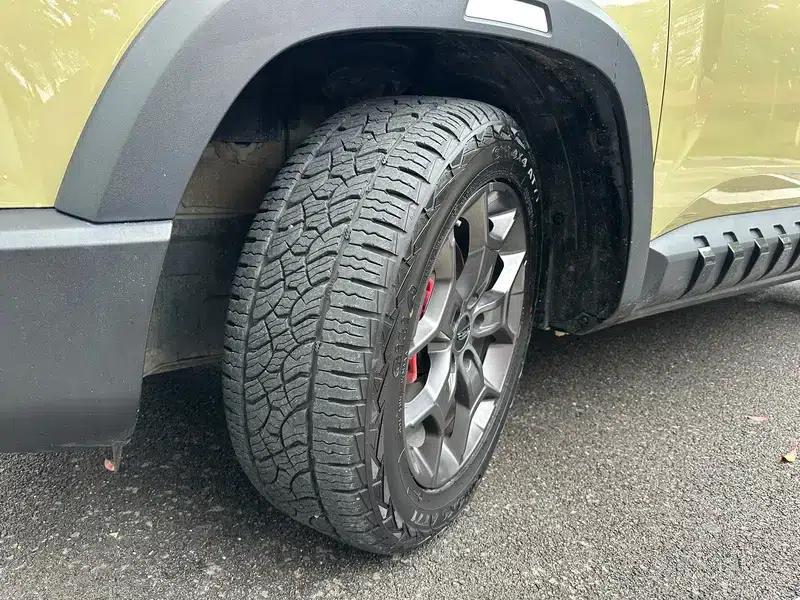 2025 Cowboy 1.5TD Wild Edition — миниатюра 14