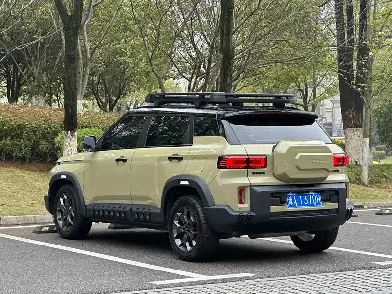 2025 Cowboy 1.5TD Wild Edition — миниатюра 5