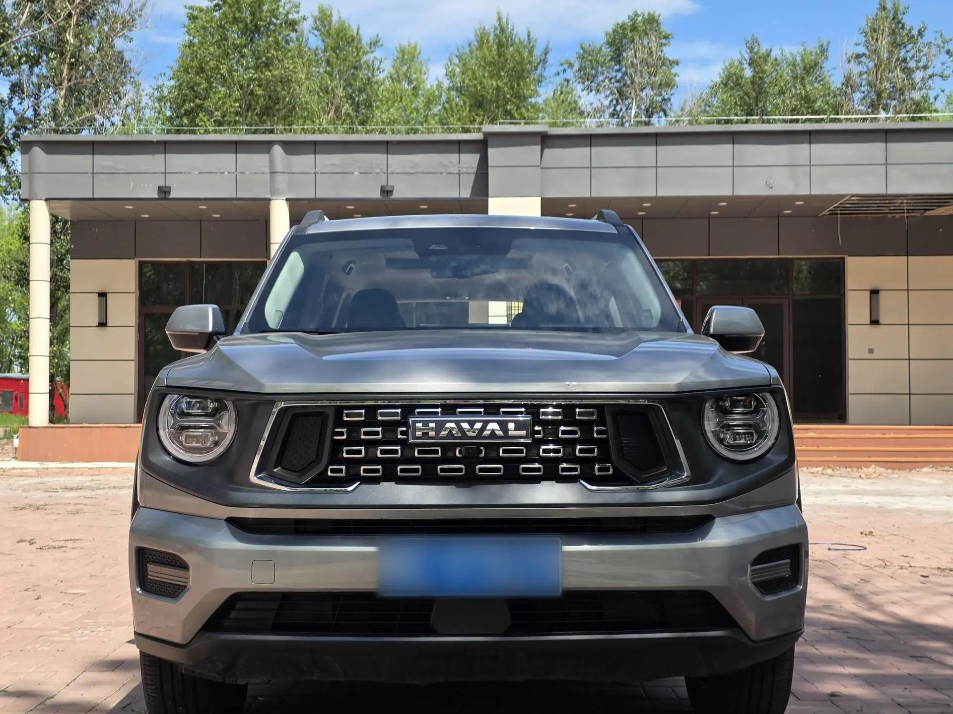 Haval H Dog 2023 2.0T All-Wheel-Drive Chaoye Plus — миниатюра 2