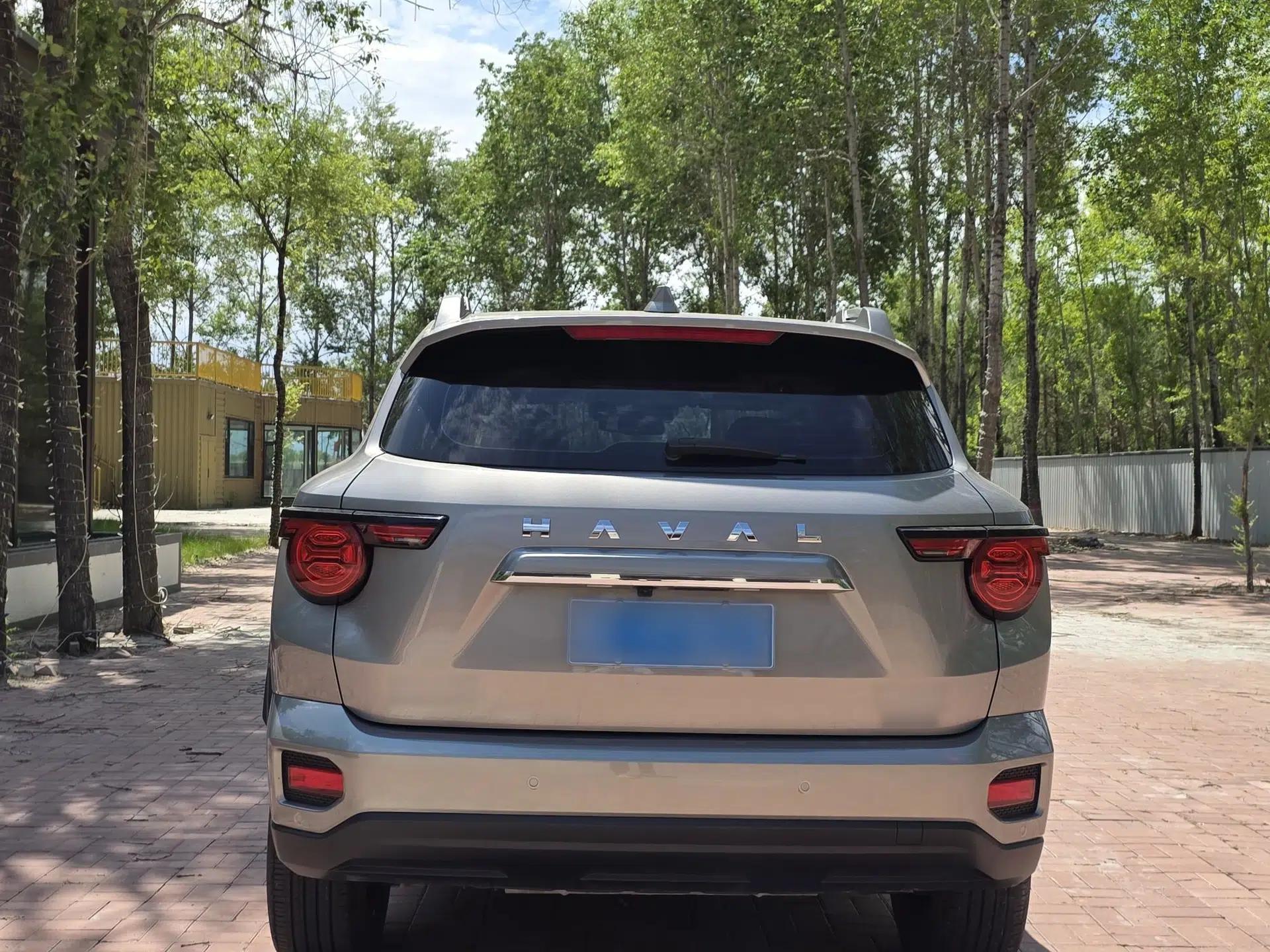 Haval H Dog 2023 2.0T All-Wheel-Drive Chaoye Plus — миниатюра 5
