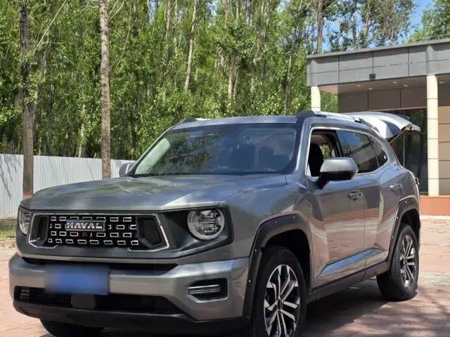 Haval H Dog 2023 2.0T All-Wheel-Drive Chaoye Plus