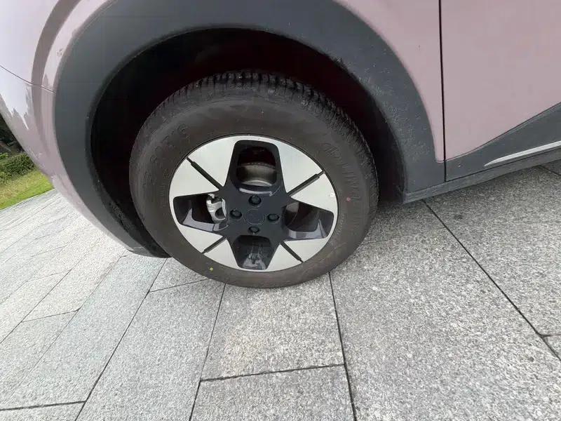 Star Wish 2026 Model 310km Dream Edition — миниатюра 10