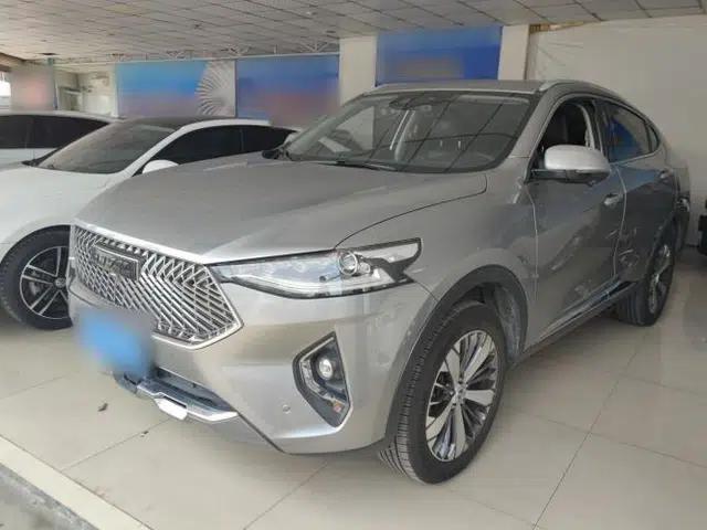 Haval F7x 2021 2.0T Two-Wheel Drive Intelligent Technology Edition