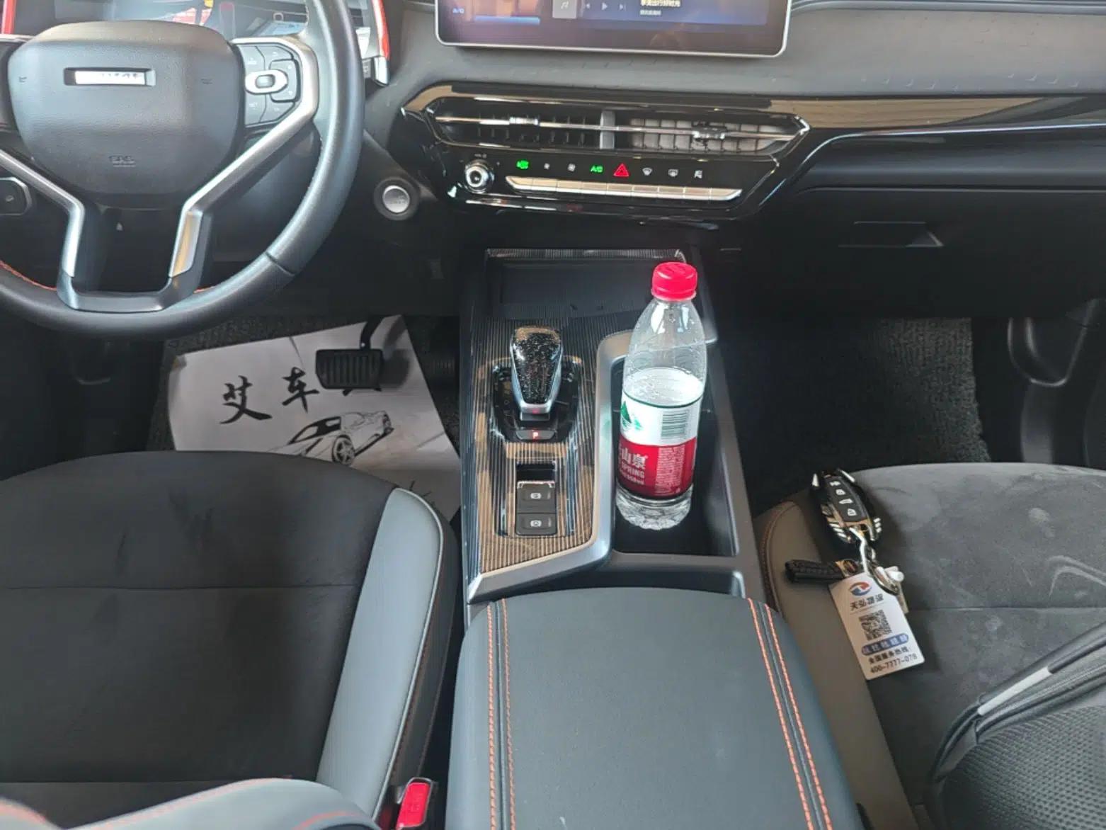 Haval LHERY 2021 High-Performance Version 1.5T Golden Rabbit — миниатюра 21