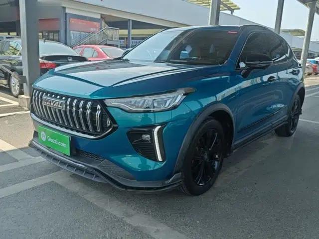 Haval LHERY 2021 High-Performance Version 1.5T Golden Rabbit