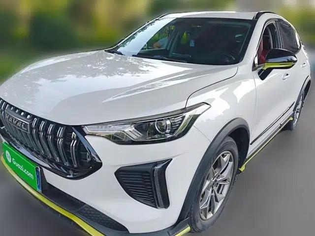 Haval LHERY 2022 Jingxiang Edition 1.5T Brass Rabbit