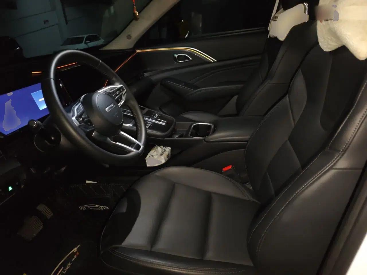 Haval Fierce Dragon Max 2023 1.5L Hi4 105 Four-Wheel Drive Navigation Edition — миниатюра 12