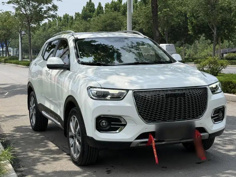 Haval H2s 2018 Red-Label 1.5T Dual-Clutch Luxury Model — миниатюра 17
