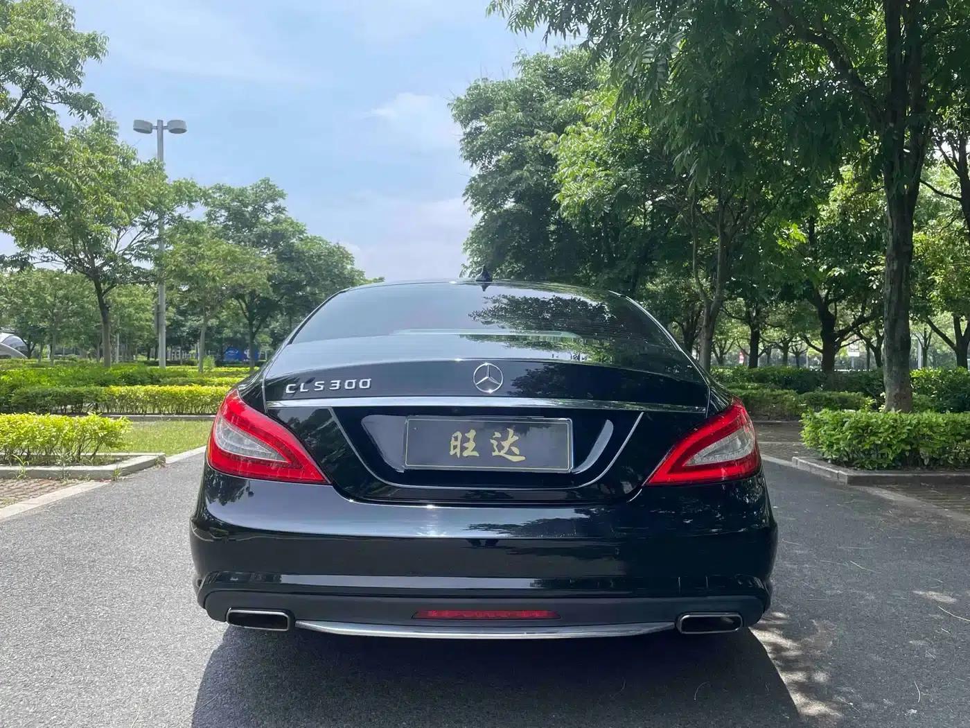 2012 Mercedes-Benz CLS 300 CGI — миниатюра 8
