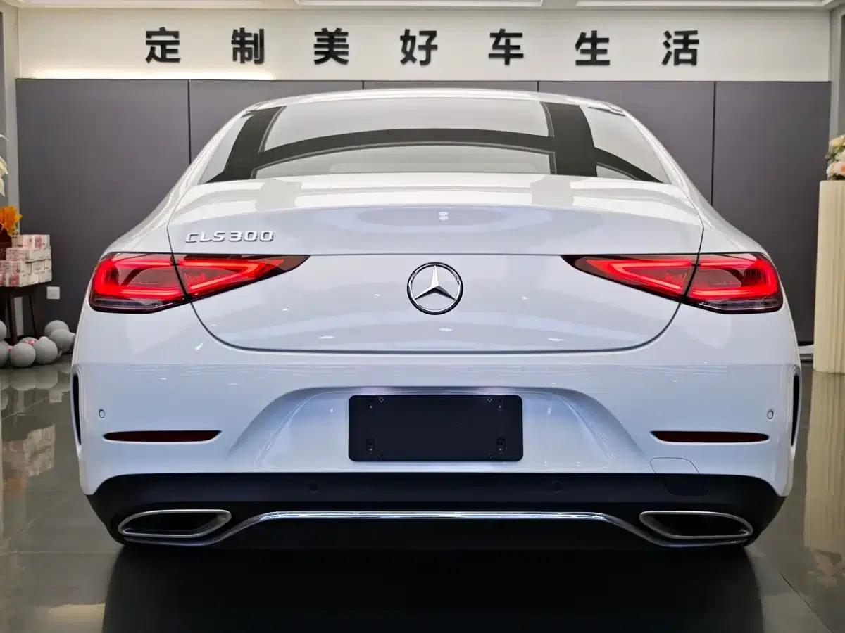 Mercedes-Benz CLS 2022 CLS 300 Dynamic — миниатюра 8