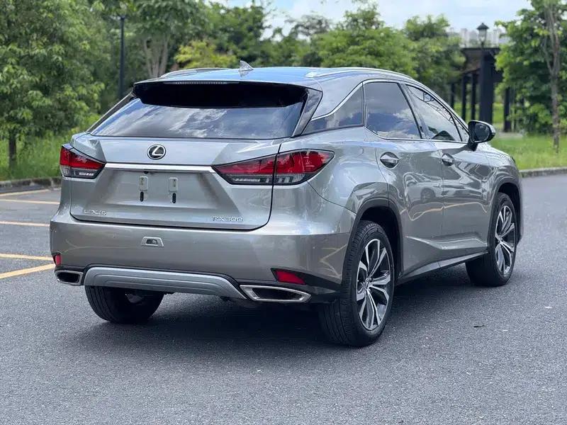 Lexus RX 2020 Facelift 300 AWD Elegant Edition — миниатюра 6