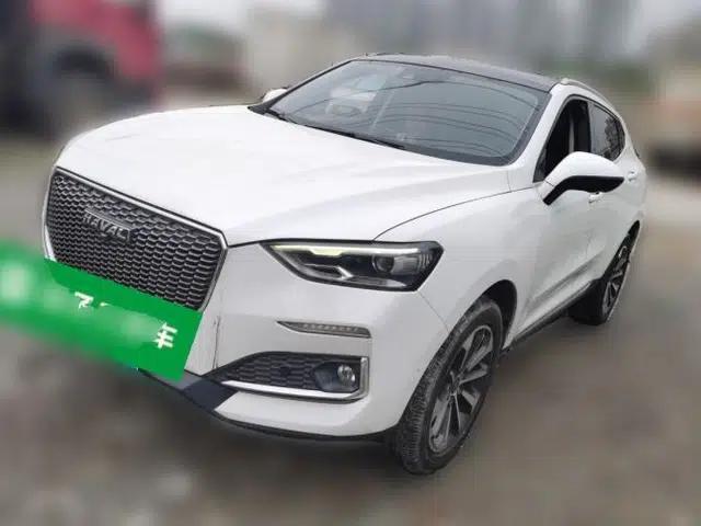 Haval F5 2019 National Trend Edition 1.5T i-Trend China VI Standard