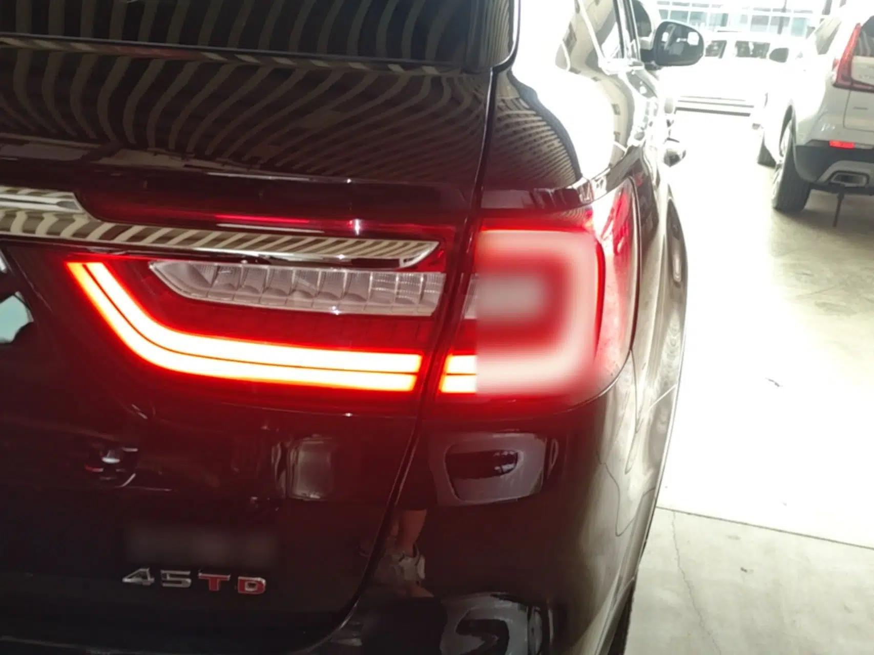 Hongqi HS7 2021 2.0T DCT Two-Wheel Drive Smart Connect Flagship Edition — миниатюра 14