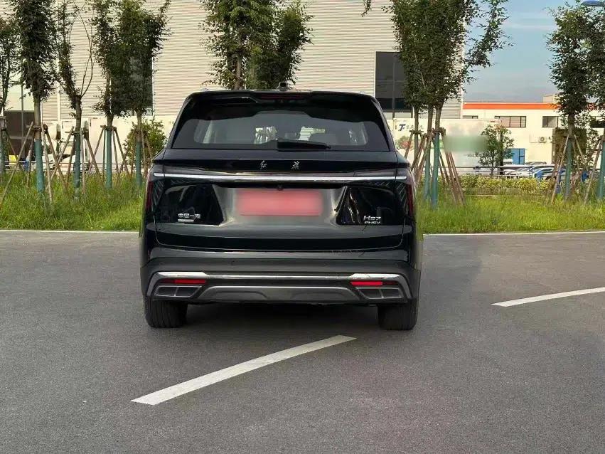 Hongqi HS7 PHEV 2024 2.0T PHEV Four-Wheel Drive Flagship Edition 6 Seats — миниатюра 22