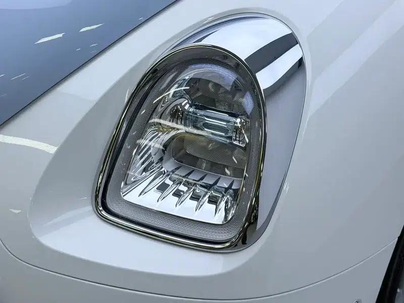 Euler Ballet Cat 2023 Model 401km Premium Edition — миниатюра 12