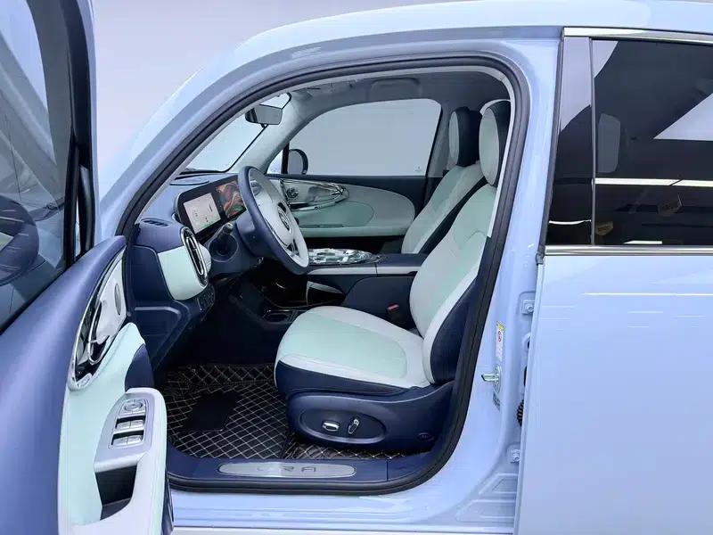 Euler Ballet Cat 2023 Model 401km Premium Edition — миниатюра 17