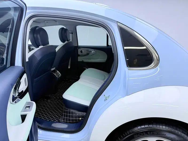 Euler Ballet Cat 2023 Model 401km Premium Edition — миниатюра 18