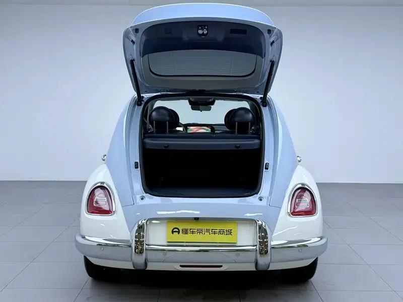 Euler Ballet Cat 2023 Model 401km Premium Edition — миниатюра 20