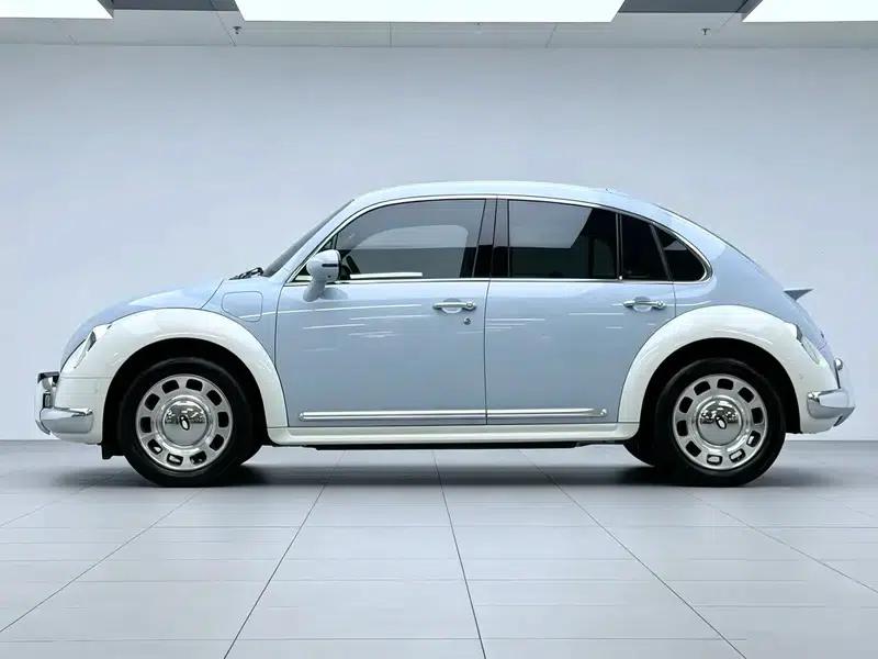 Euler Ballet Cat 2023 Model 401km Premium Edition — миниатюра 4