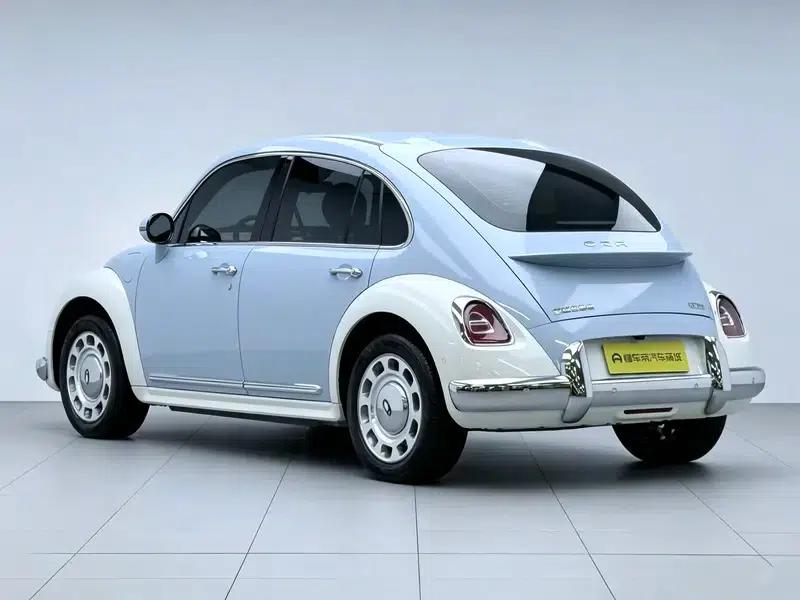 Euler Ballet Cat 2023 Model 401km Premium Edition — миниатюра 5