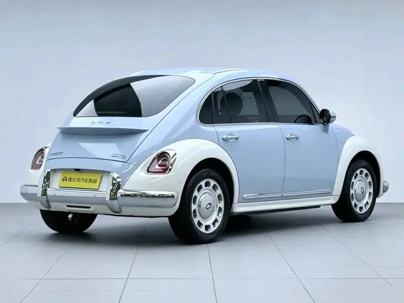 Euler Ballet Cat 2023 Model 401km Premium Edition — миниатюра 7