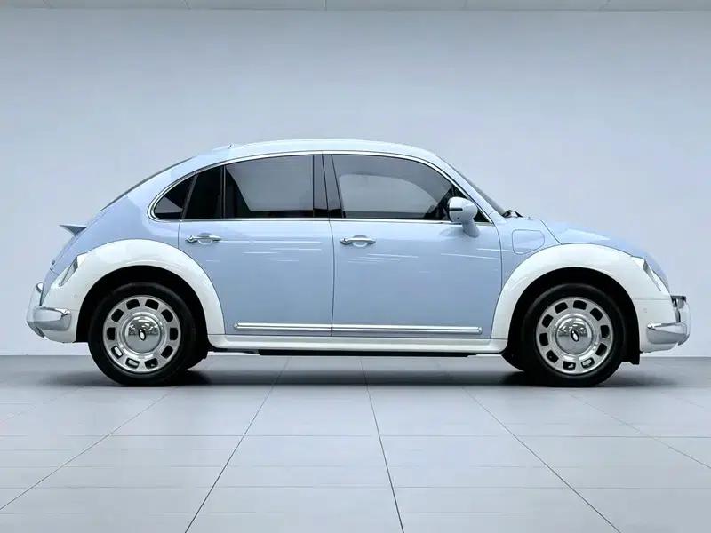 Euler Ballet Cat 2023 Model 401km Premium Edition — миниатюра 8