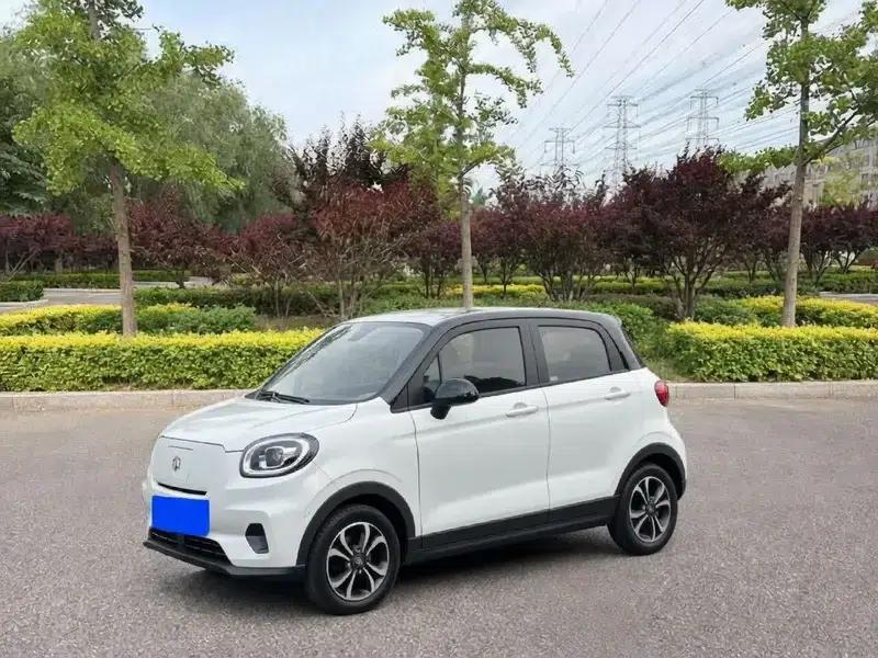 Little Ant 2021 Model, 150,000 Fan Edition, New Ant Cool Edition, Lithium Iron Phosphate — миниатюра 1