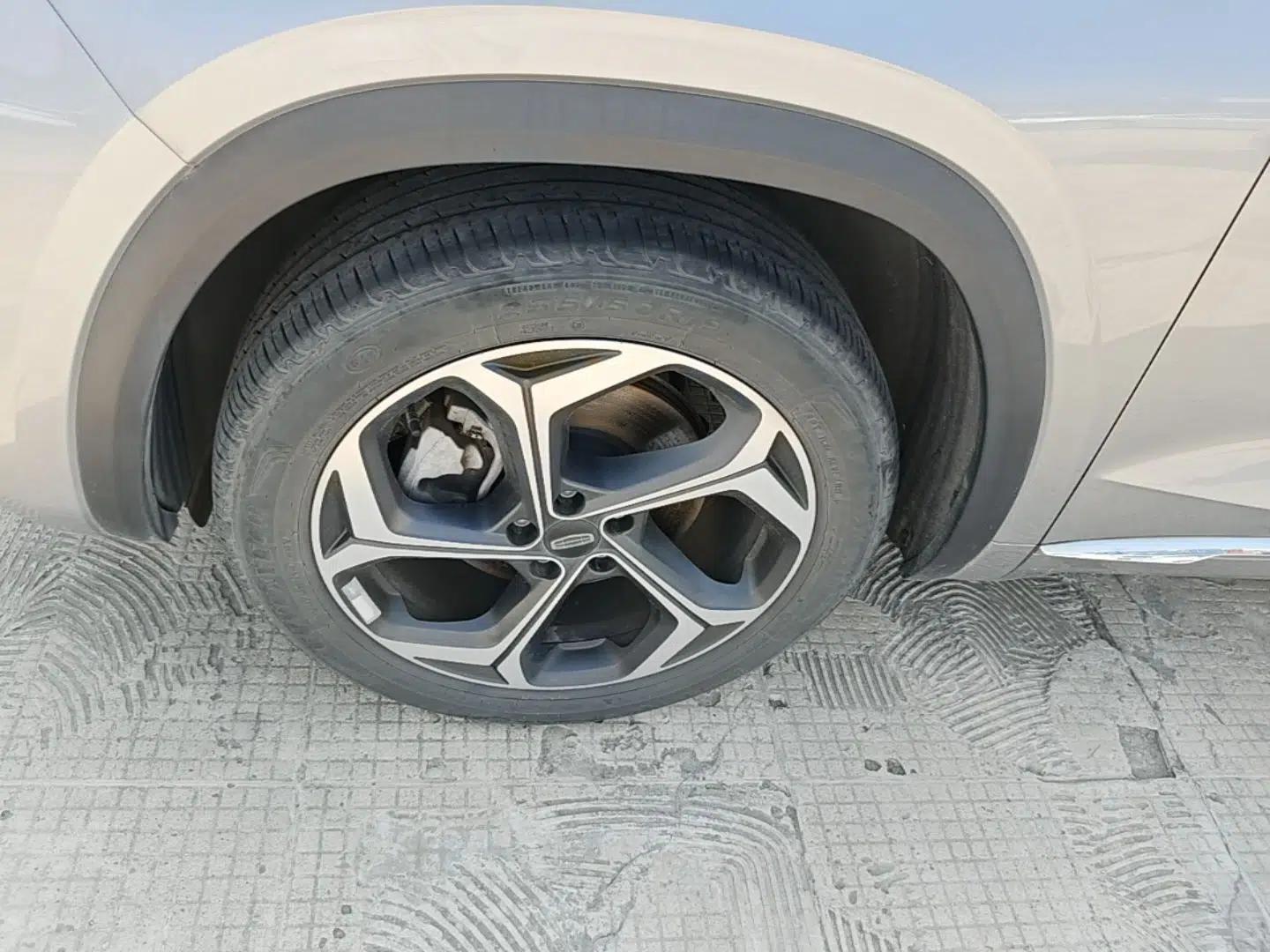 Geely Auto Monjaro L 2021 2.0TD DCT EVO Two-Wheel Drive Prestige Version — миниатюра 15