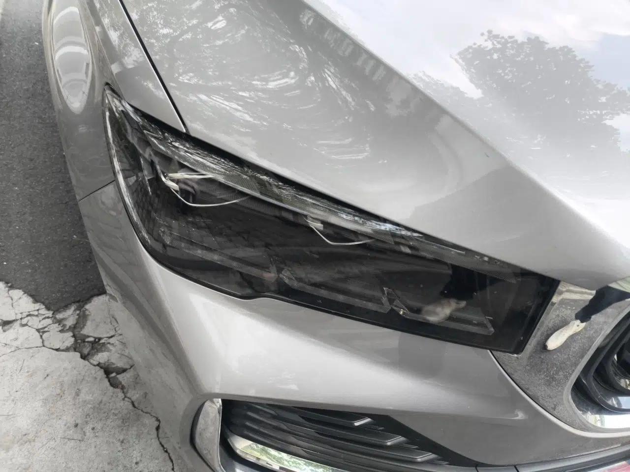 Geely Auto Monjaro L 2021 2.0TD DCT EVO Two-Wheel Drive Prestige Version — миниатюра 7