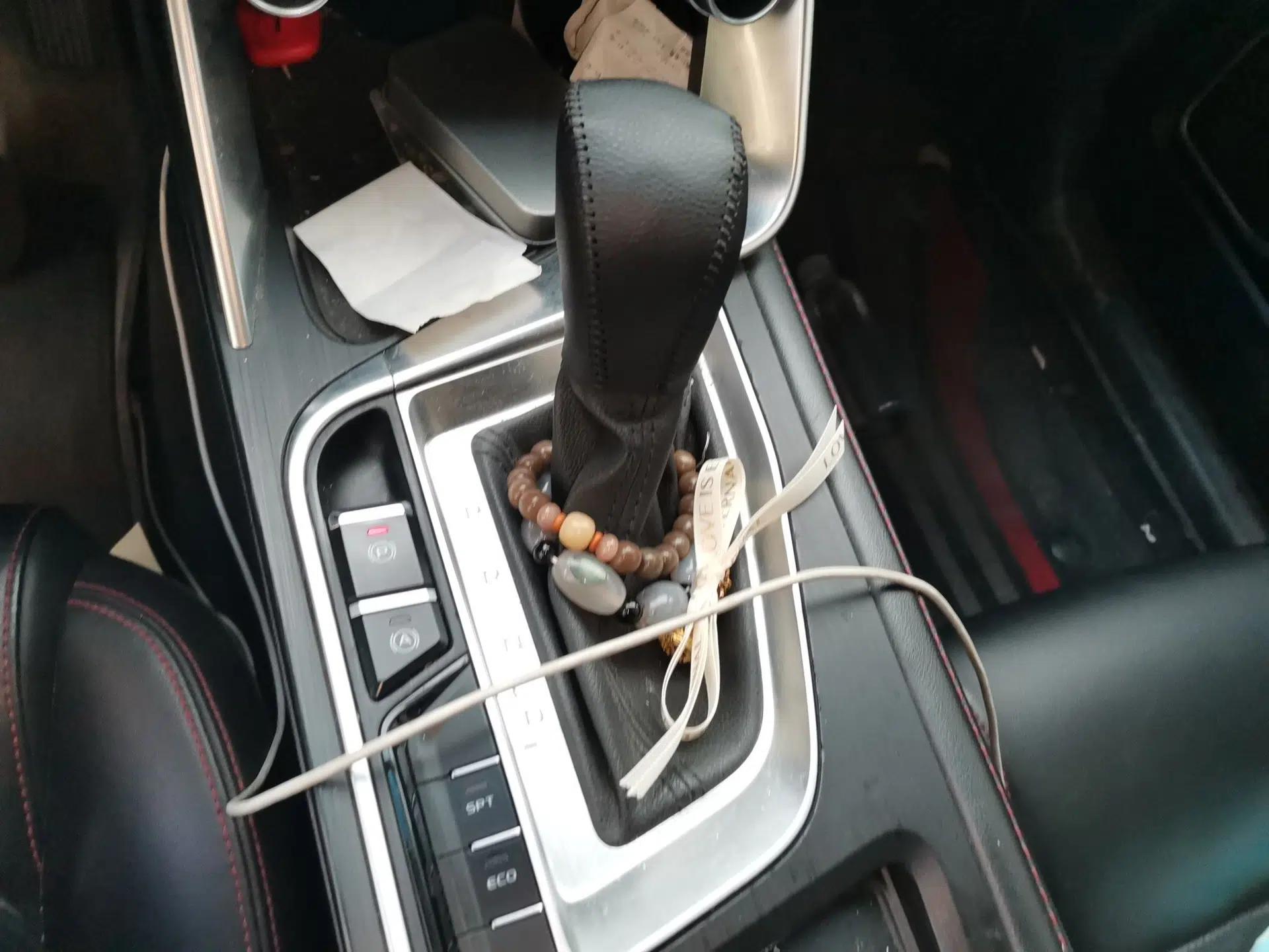 Geely Auto Binray 2019 200T DCT Binchi Edition — миниатюра 14