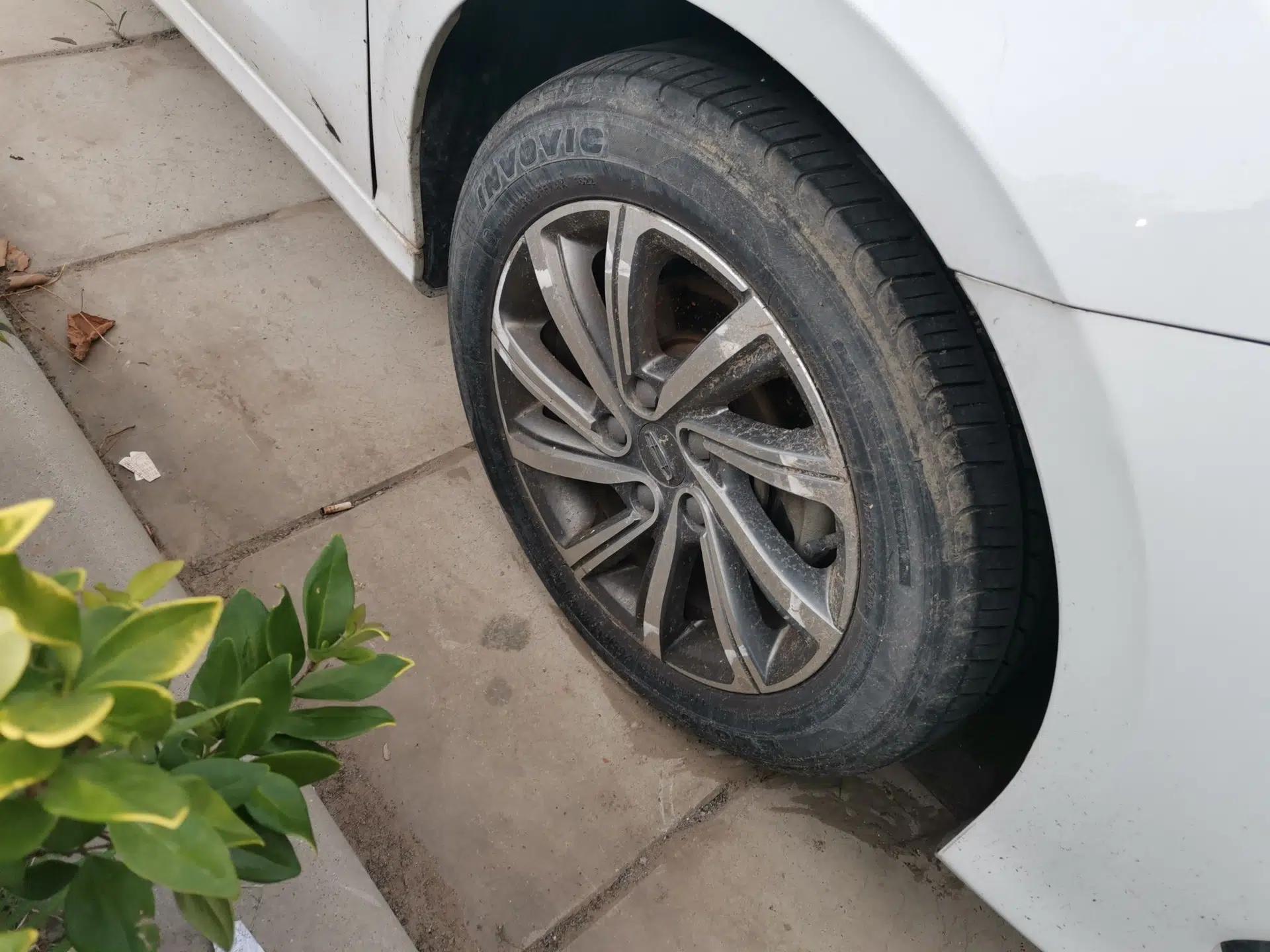 Geely Auto Binray 2019 200T DCT Binchi Edition — миниатюра 8