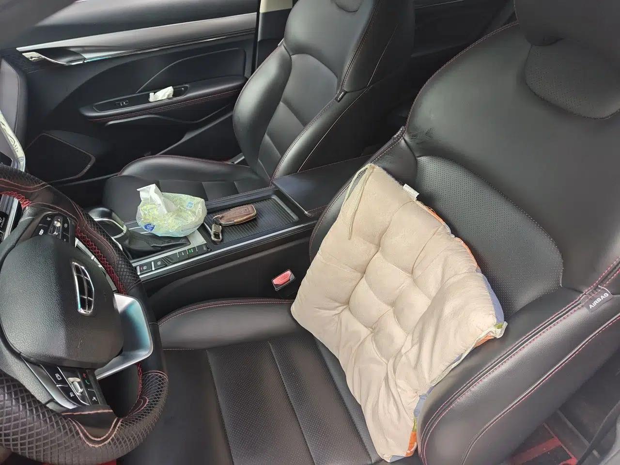 Geely Auto Binray 2019 200T DCT Binzhi Edition — миниатюра 15