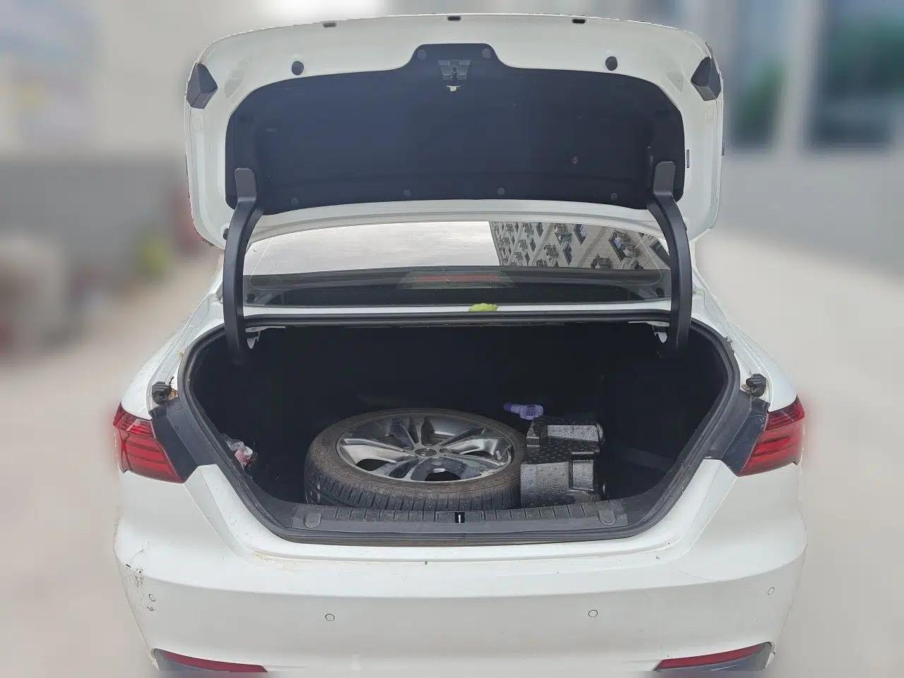 Geely Auto Binray 2019 200T DCT Binzhi Edition — миниатюра 19