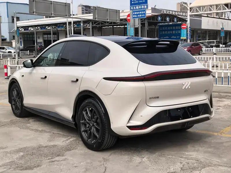 2024 LS7 Max Elite Rear-Wheel Drive — миниатюра 4